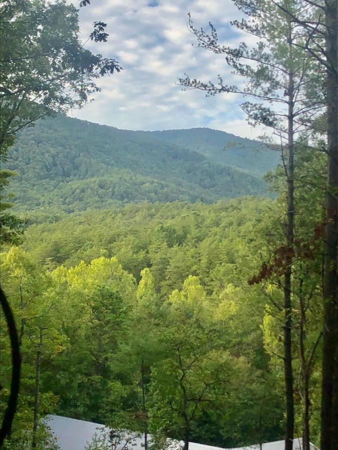 Mountain-Top Cabin Get-Away With Hot Tub And A View Sautee Nacoochee Екстериор снимка