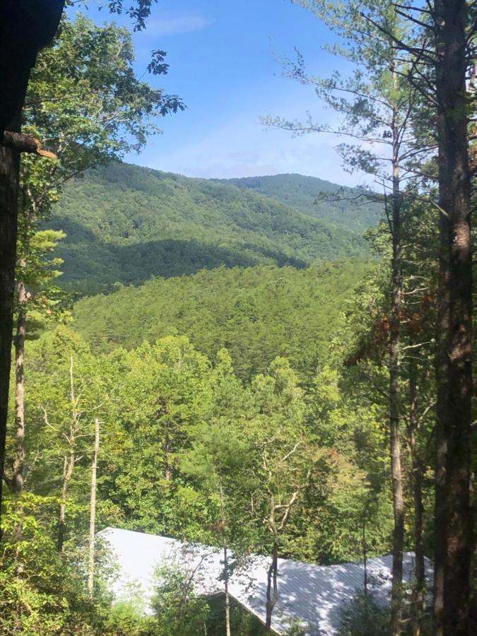 Mountain-Top Cabin Get-Away With Hot Tub And A View Sautee Nacoochee Екстериор снимка